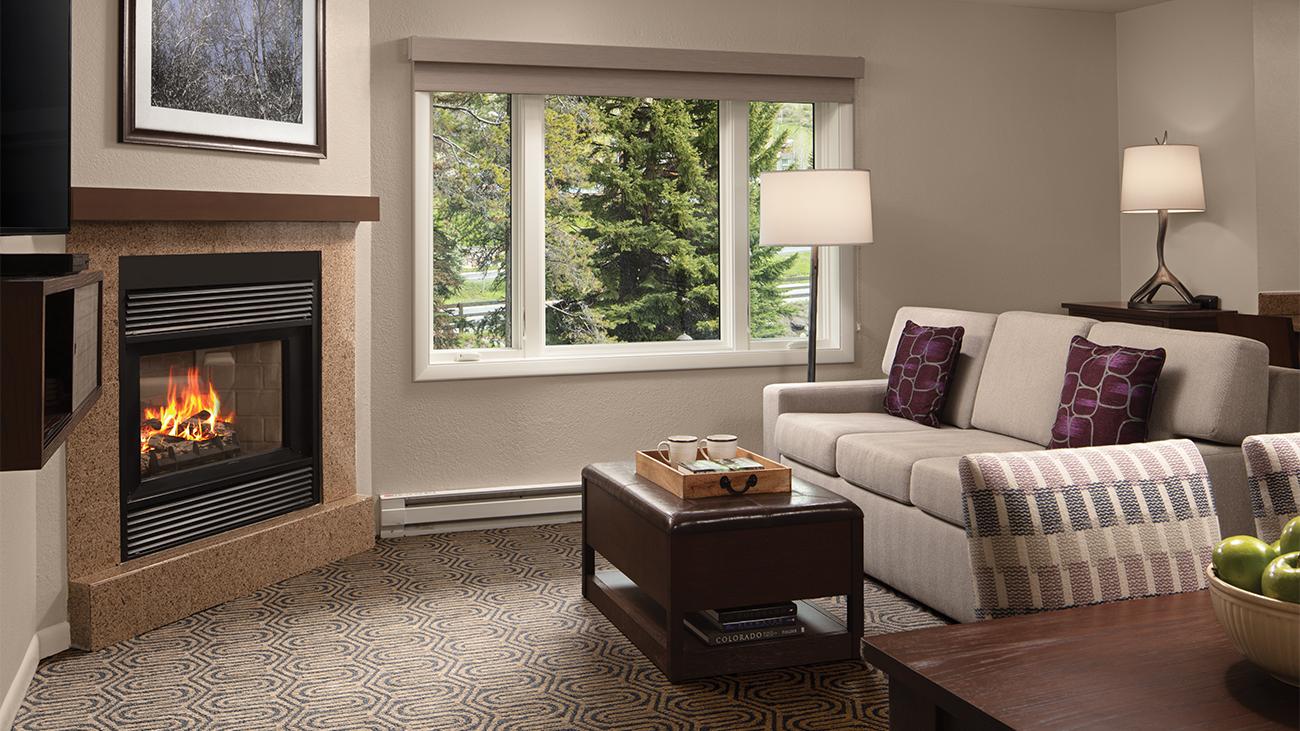 1-Bedroom Living Room